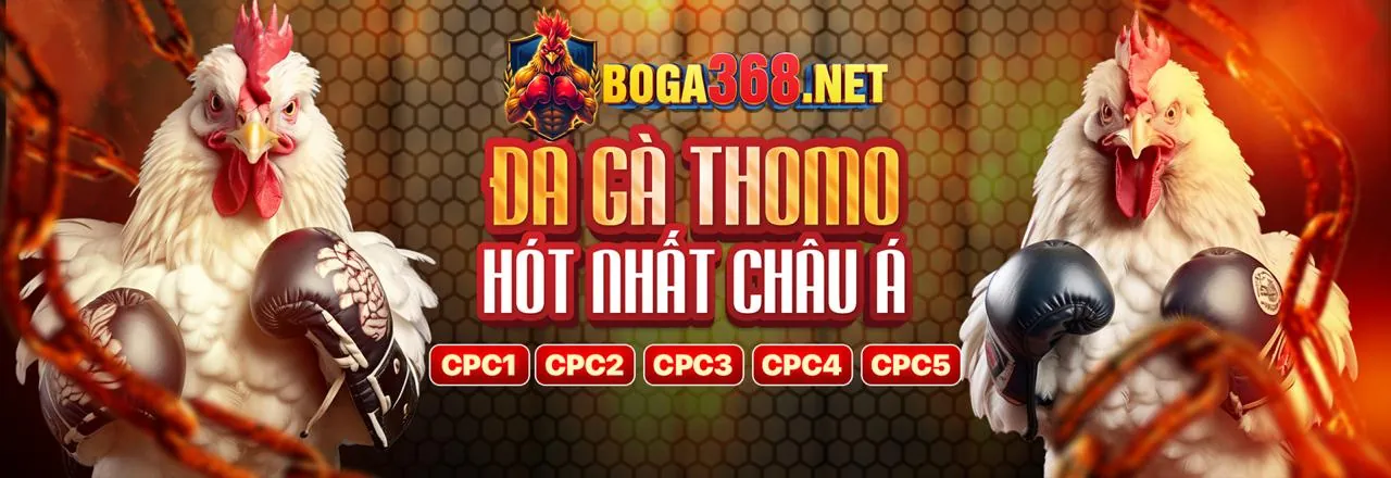 Khuyến Mãi Hấp Dẫn 2026 tại Nhà Cái ZALV